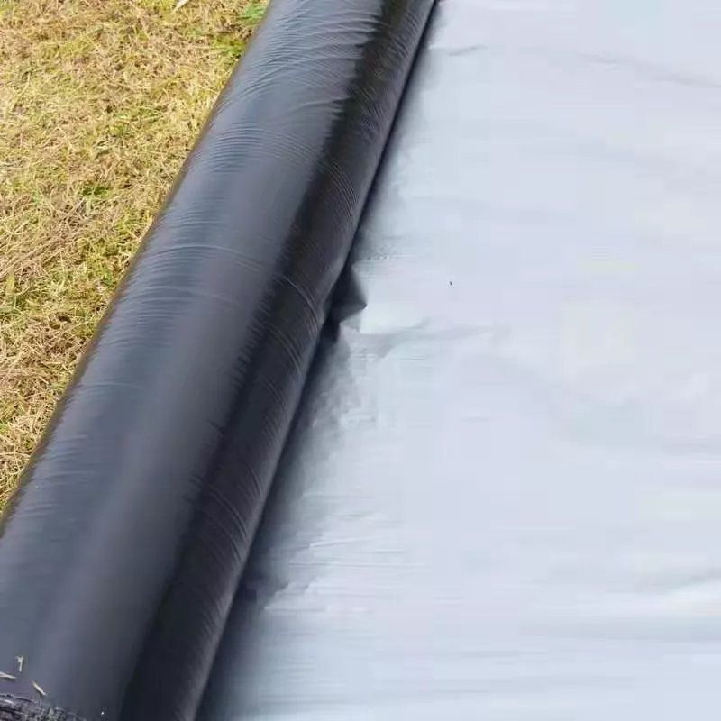 Plastic Film Plastic Film