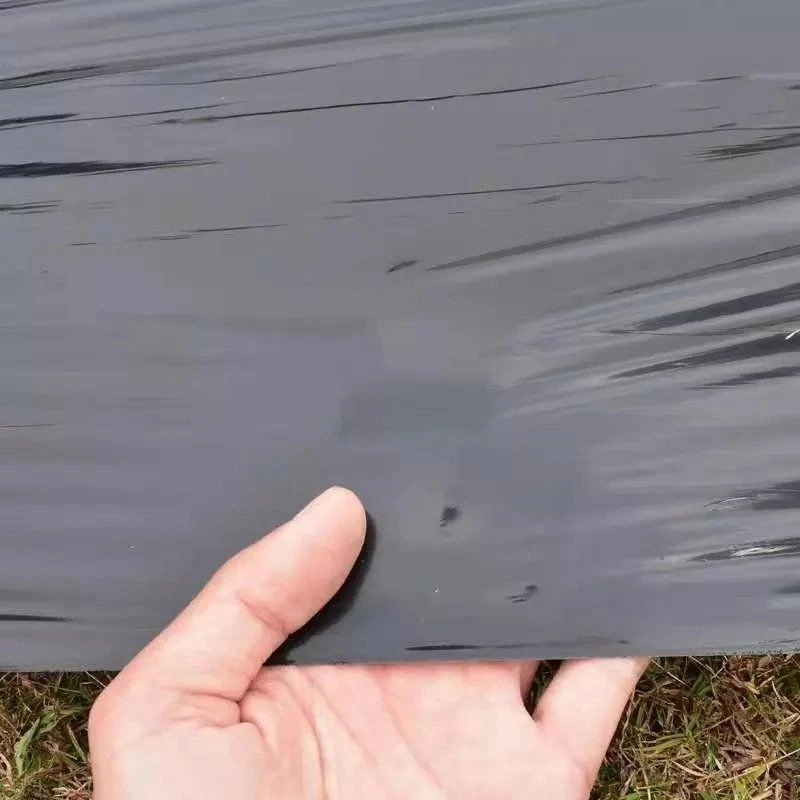 Plastic Construction Plastic Construction